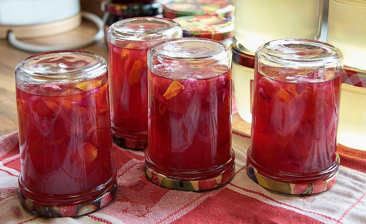 entdecken sie alles rund ums einmachen und haltbarmachen von lebensmitteln: tipps, anleitungen und rezepte für erfolgreiches canning zuhause.